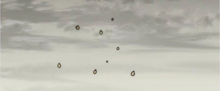 Mạt Thế Đạo Tặc Hành Chapter 116 - Trang 2