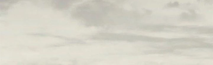 Mạt Thế Đạo Tặc Hành Chapter 116 - Trang 2