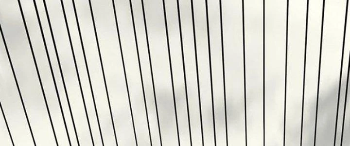 Mạt Thế Đạo Tặc Hành Chapter 118 - Trang 2