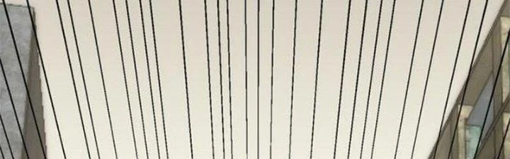 Mạt Thế Đạo Tặc Hành Chapter 118 - Trang 2