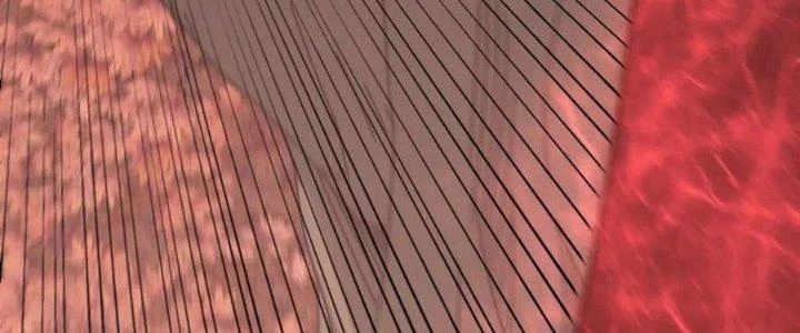 Mạt Thế Đạo Tặc Hành Chapter 124 - Trang 2