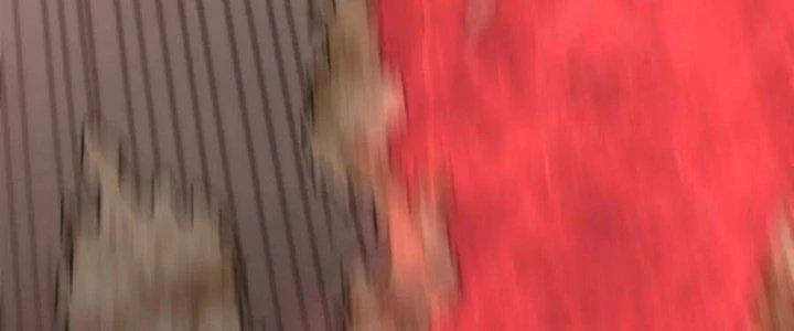 Mạt Thế Đạo Tặc Hành Chapter 124 - Trang 2