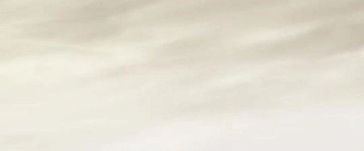 Mạt Thế Đạo Tặc Hành Chapter 125 - Trang 2