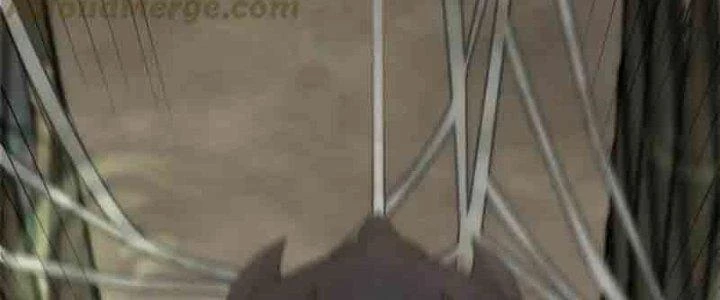 Mạt Thế Đạo Tặc Hành Chapter 126 - Trang 2