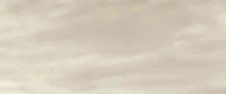 Mạt Thế Đạo Tặc Hành Chapter 126 - Trang 2