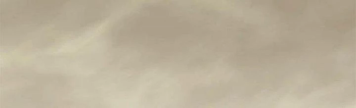 Mạt Thế Đạo Tặc Hành Chapter 128 - Trang 2