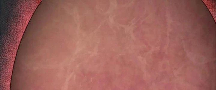 Mạt Thế Đạo Tặc Hành Chapter 135 - Trang 2