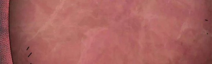 Mạt Thế Đạo Tặc Hành Chapter 135 - Trang 2