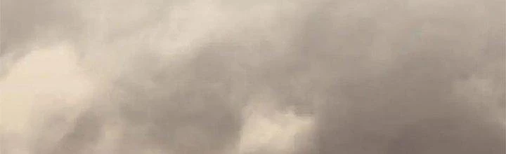 Mạt Thế Đạo Tặc Hành Chapter 137 - Trang 2