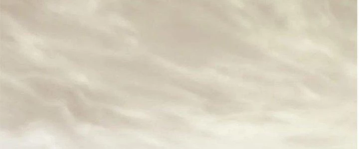 Mạt Thế Đạo Tặc Hành Chapter 138 - Trang 2