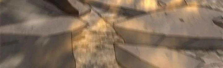 Mạt Thế Đạo Tặc Hành Chapter 141 - Trang 2