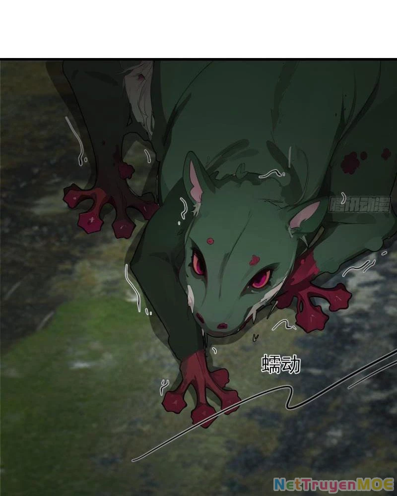 Mạt Thế Độc Hành: Khế Ước Hắc Ám Của Ta Chapter 16 - Trang 2