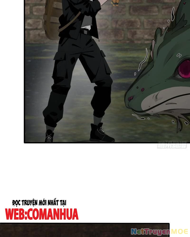 Mạt Thế Độc Hành: Khế Ước Hắc Ám Của Ta Chapter 16 - Trang 2