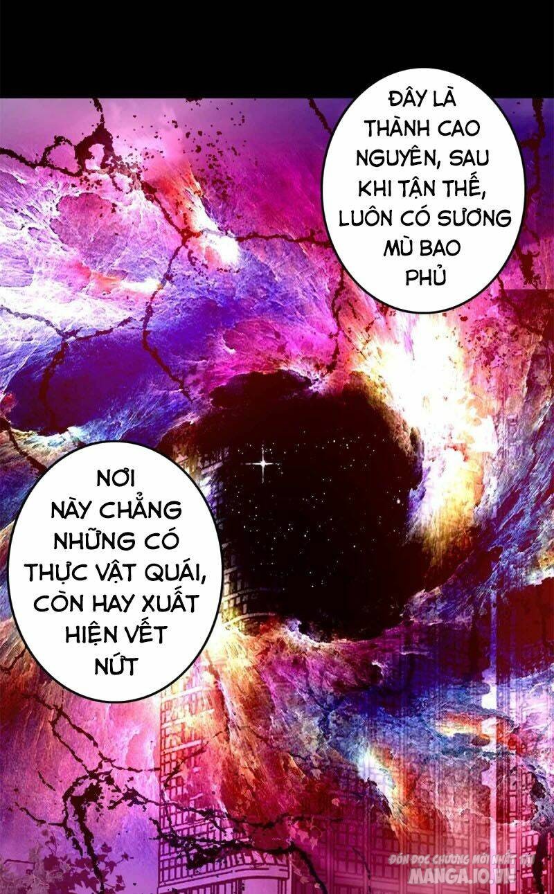 Mạt Thế Vi Vương Chapter 227 - Trang 2