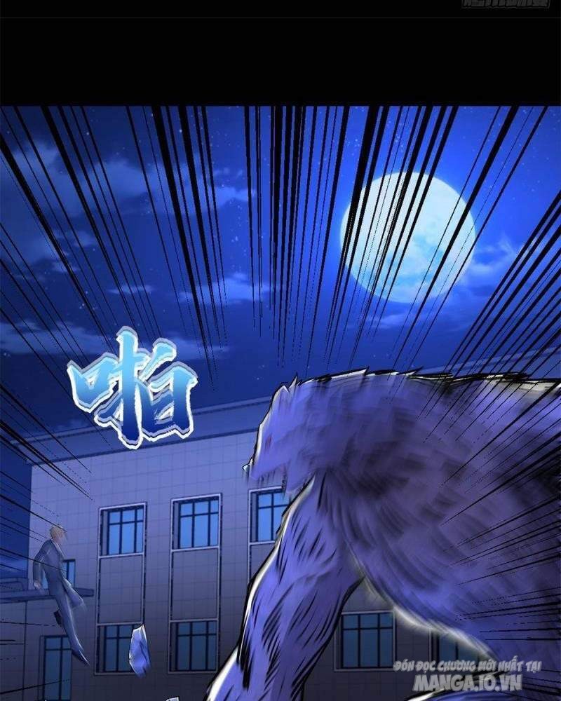 Mạt Thế Vi Vương Chapter 398 - Trang 2