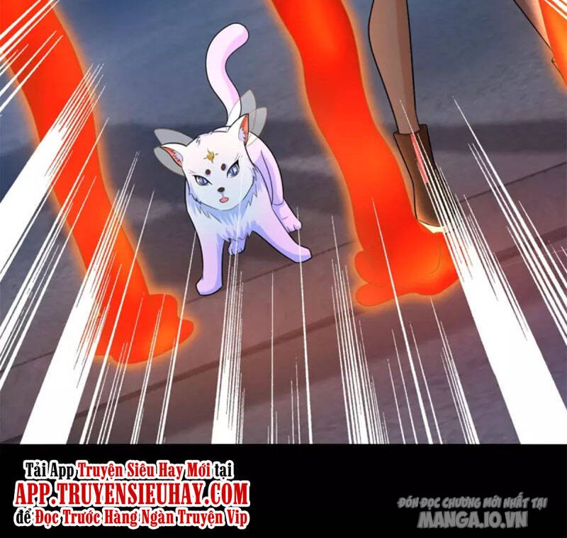 Mạt Thế Vi Vương Chapter 493 - Trang 2