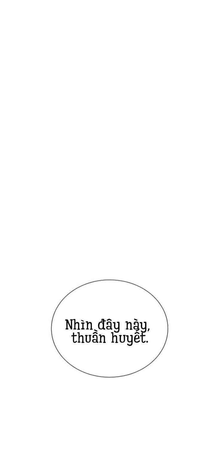 Máu Trắng Chapter 14 - Trang 2