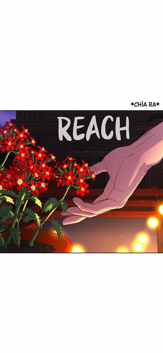 Máu Trắng Chapter 38 - Trang 2