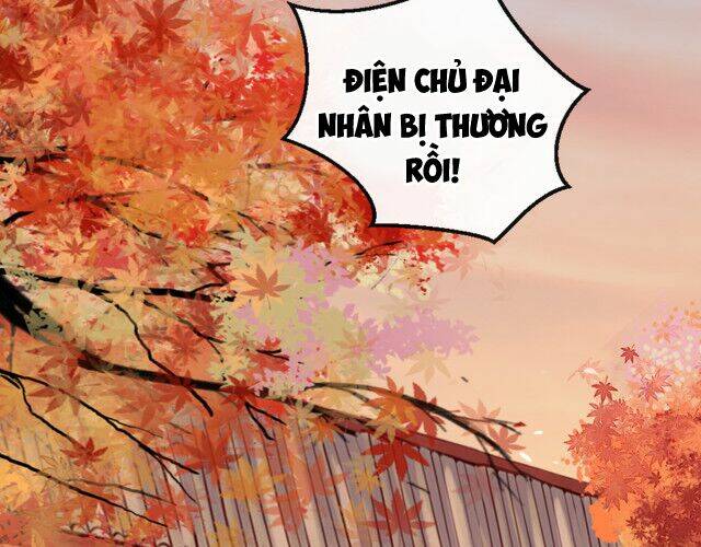 Mau Xuyên Không Rửa Tội Cho Nhân Vật Phản Diện Chapter 11 - Trang 2