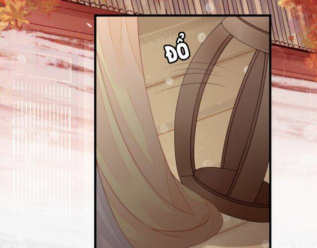 Mau Xuyên Không Rửa Tội Cho Nhân Vật Phản Diện Chapter 11 - Trang 2