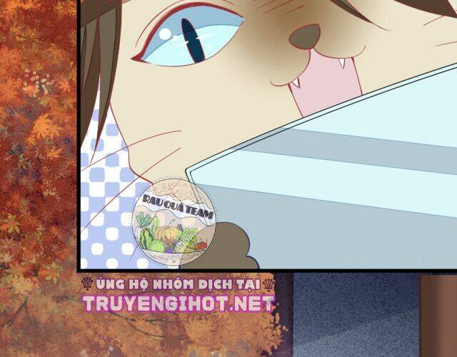 Mau Xuyên Không Rửa Tội Cho Nhân Vật Phản Diện Chapter 11 - Trang 2