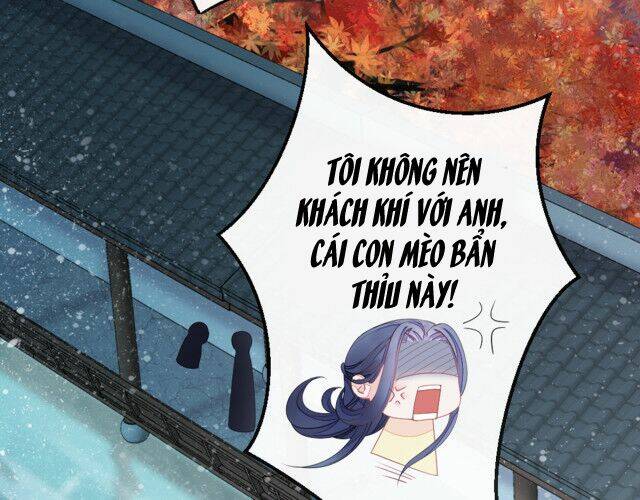 Mau Xuyên Không Rửa Tội Cho Nhân Vật Phản Diện Chapter 11 - Trang 2