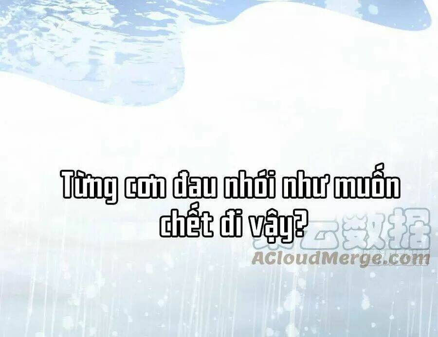 Mau Xuyên Không Rửa Tội Cho Nhân Vật Phản Diện Chapter 23 - Trang 2