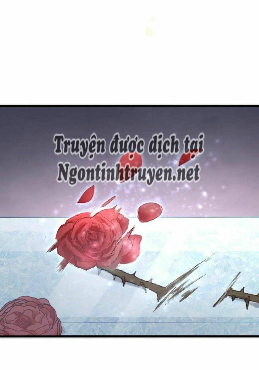 Mau Xuyên Không Rửa Tội Cho Nhân Vật Phản Diện Chapter 30 - Trang 2