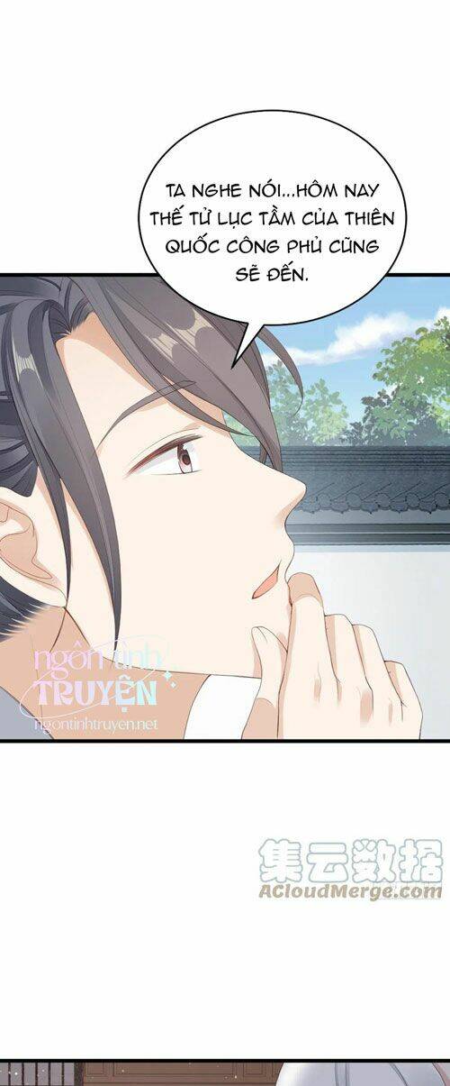 Mau Xuyên Không Rửa Tội Cho Nhân Vật Phản Diện Chapter 41 - Trang 2