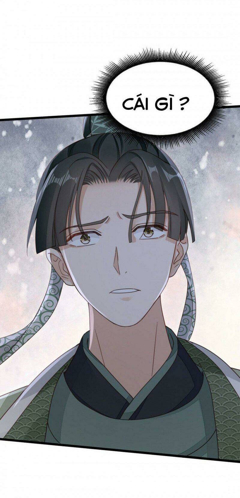 Mau Xuyên Không Rửa Tội Cho Nhân Vật Phản Diện Chapter 48 - Trang 2