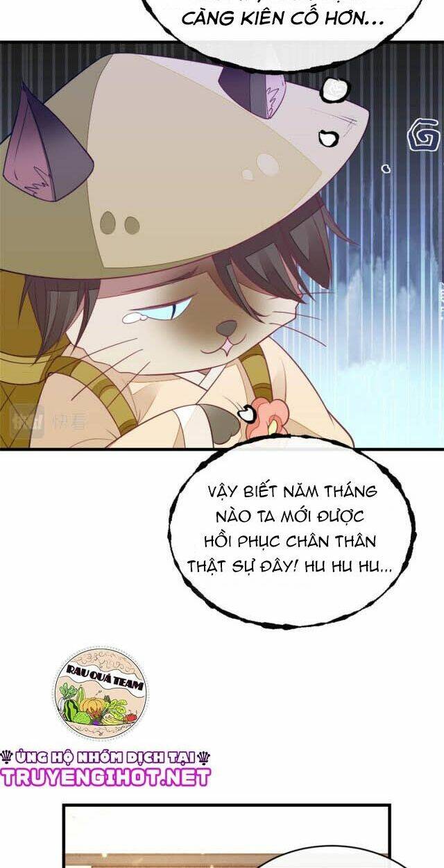 Mau Xuyên Không Rửa Tội Cho Nhân Vật Phản Diện Chapter 5 - Trang 2