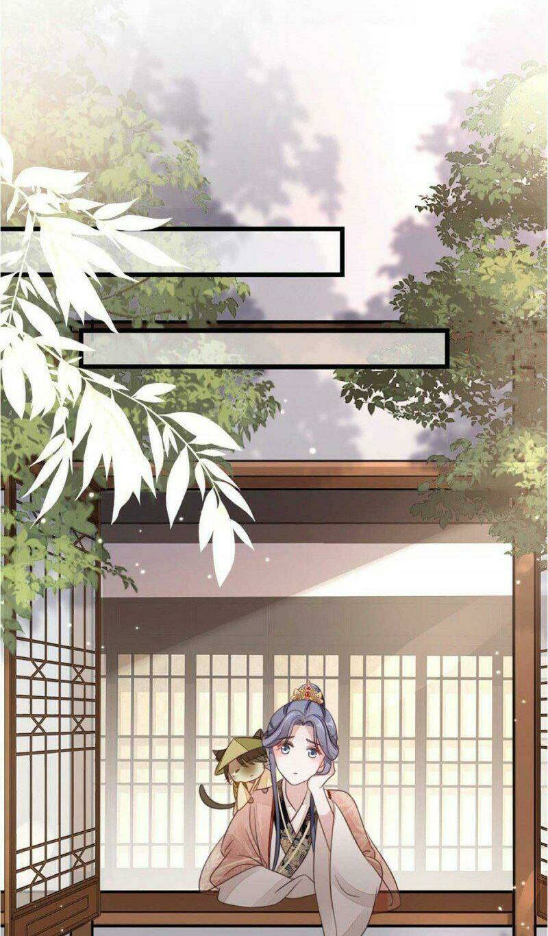 Mau Xuyên Không Rửa Tội Cho Nhân Vật Phản Diện Chapter 55 - Trang 2