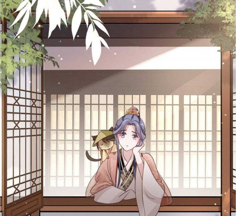 Mau Xuyên Không Rửa Tội Cho Nhân Vật Phản Diện Chapter 56 - Trang 2