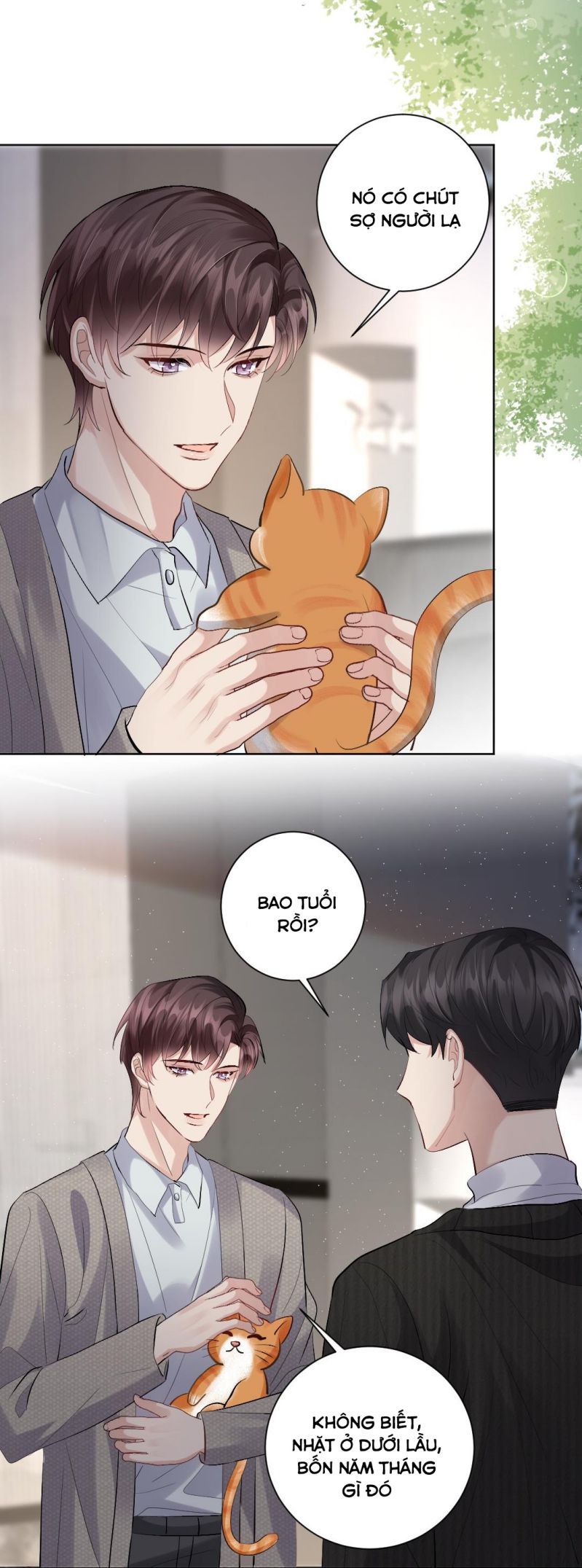 Máy Bay Giấy Chapter 85 - Trang 2