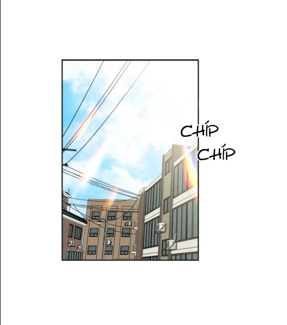 Mẹ Ơi, Con Xin Lỗi! Chapter 11 - Trang 2