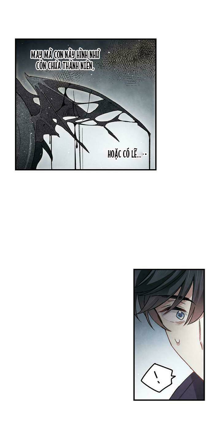 Mejaz – Nhân Gian Ngọc Chapter 30 - Trang 2