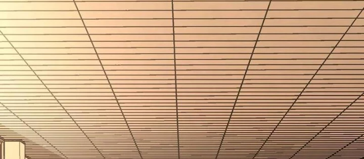 Mệnh Luân Chi Chủ! Khi Dị Biến Giáng Lâm Nhân Gian! Chapter 108 - Trang 2