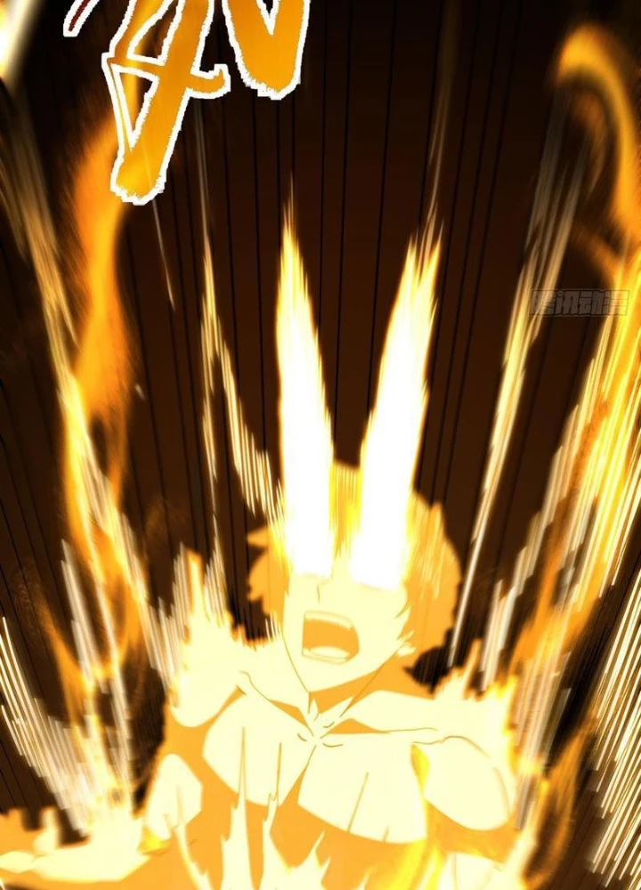 Mệnh Luân Chi Chủ! Khi Dị Biến Giáng Lâm Nhân Gian! Chapter 114 - Trang 2