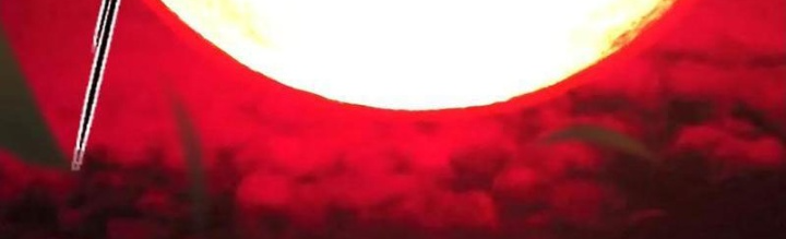 Mệnh Luân Chi Chủ! Khi Dị Biến Giáng Lâm Nhân Gian! Chapter 119 - Trang 2