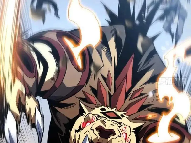 Mệnh Luân Chi Chủ! Khi Dị Biến Giáng Lâm Nhân Gian! Chapter 191 - Trang 2