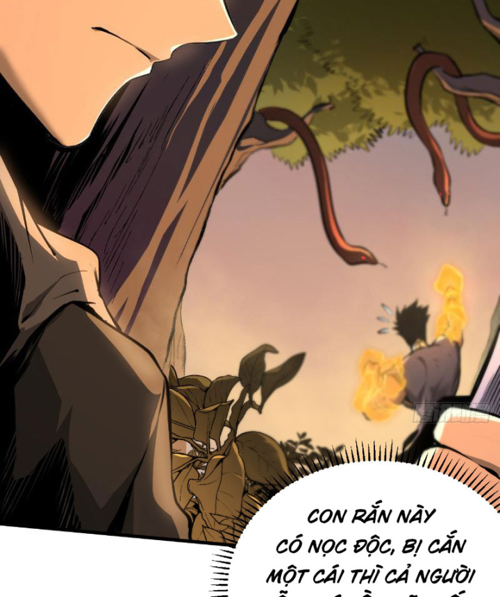 Mệnh Luân Chi Chủ! Khi Dị Biến Giáng Lâm Nhân Gian! Chapter 2 - Trang 2