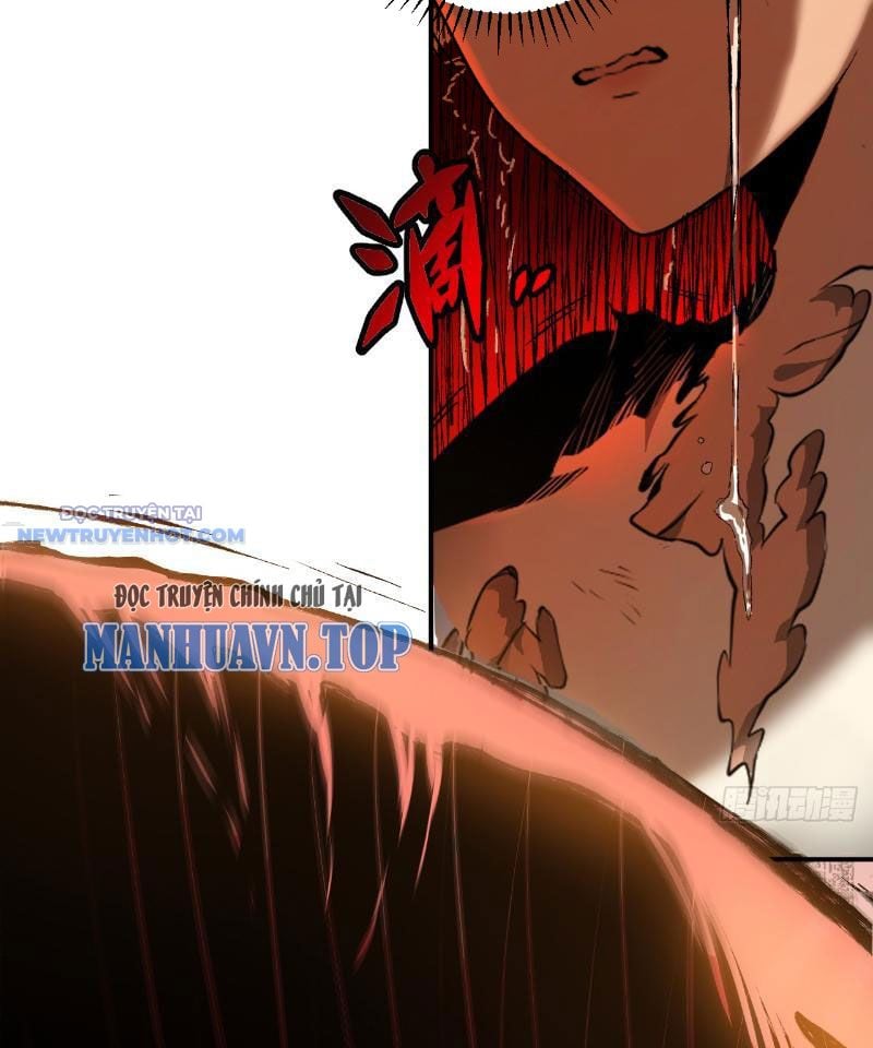 Mệnh Luân Chi Chủ! Làm Kẻ Biến Dị Giáng Xuống Nhân Gian Chapter 1 - Trang 2