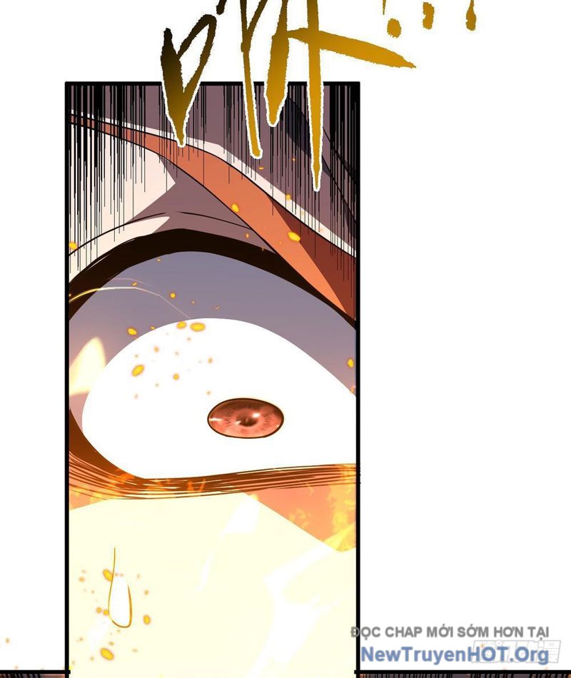 Mệnh Luân Chi Chủ! Làm Kẻ Biến Dị Giáng Xuống Nhân Gian Chapter 135 - Trang 2