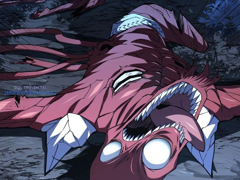 Mệnh Luân Chi Chủ! Làm Kẻ Biến Dị Giáng Xuống Nhân Gian Chapter 14 - Trang 2