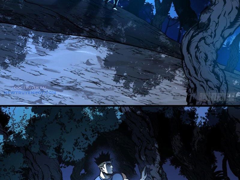 Mệnh Luân Chi Chủ! Làm Kẻ Biến Dị Giáng Xuống Nhân Gian Chapter 14 - Trang 2