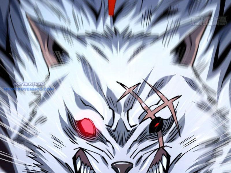 Mệnh Luân Chi Chủ! Làm Kẻ Biến Dị Giáng Xuống Nhân Gian Chapter 16 - Trang 2