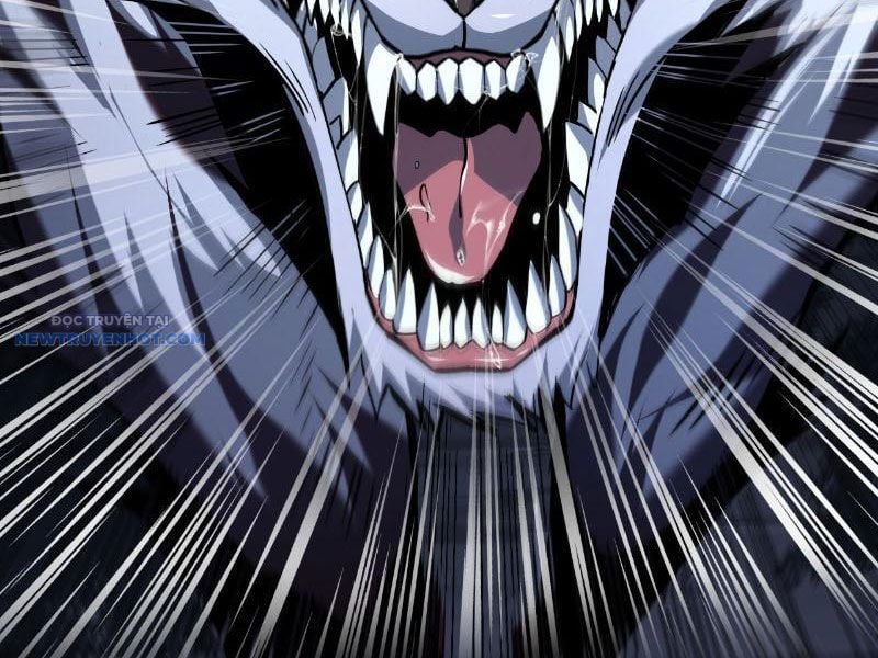 Mệnh Luân Chi Chủ! Làm Kẻ Biến Dị Giáng Xuống Nhân Gian Chapter 16 - Trang 2