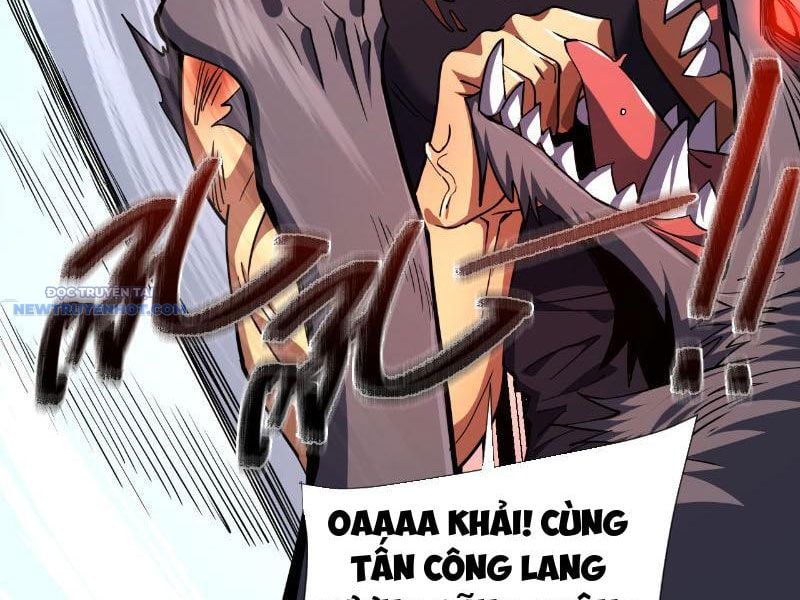 Mệnh Luân Chi Chủ! Làm Kẻ Biến Dị Giáng Xuống Nhân Gian Chapter 16 - Trang 2