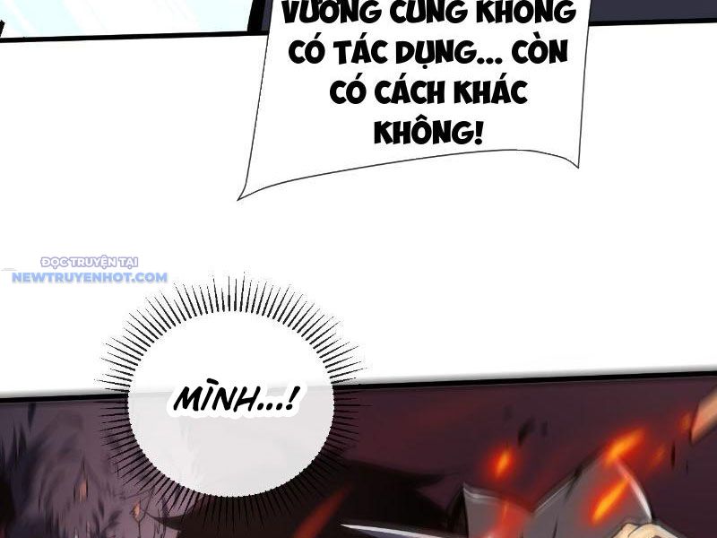 Mệnh Luân Chi Chủ! Làm Kẻ Biến Dị Giáng Xuống Nhân Gian Chapter 16 - Trang 2
