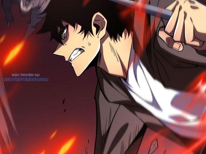 Mệnh Luân Chi Chủ! Làm Kẻ Biến Dị Giáng Xuống Nhân Gian Chapter 16 - Trang 2